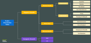 Diagram showing key business growth levers including customer-led growth, efficiency, cost reduction and mergers & acquisitions